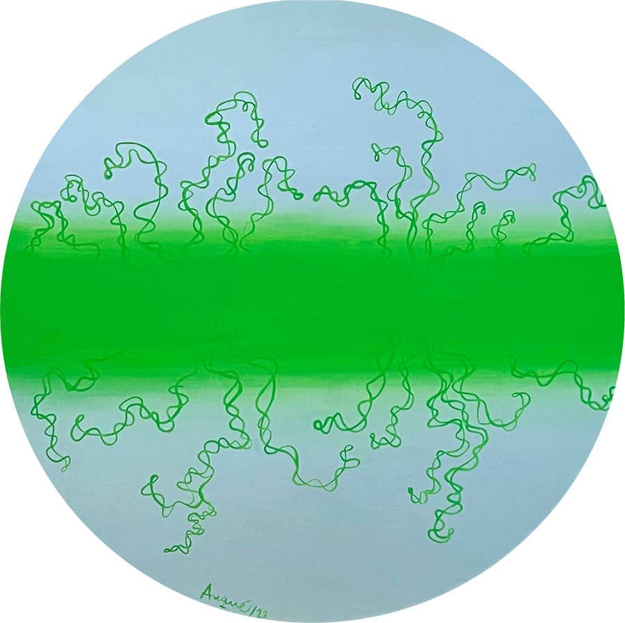Work of the modern art artist Sierra Nevada santa marta LIME