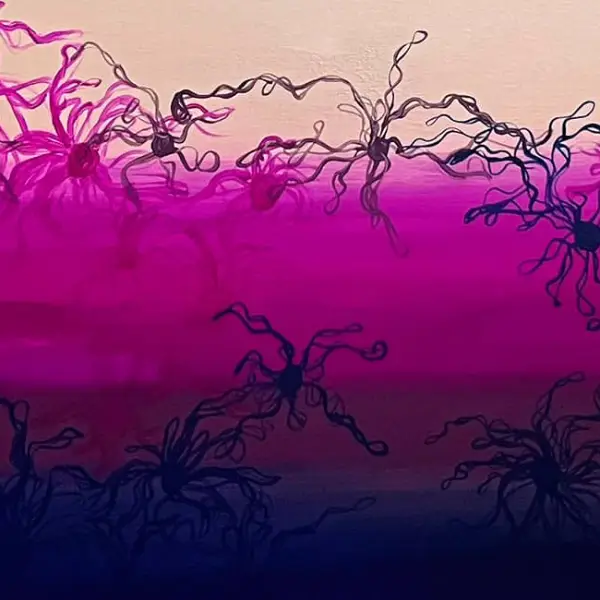 Connection Collection by Rosana Auqué