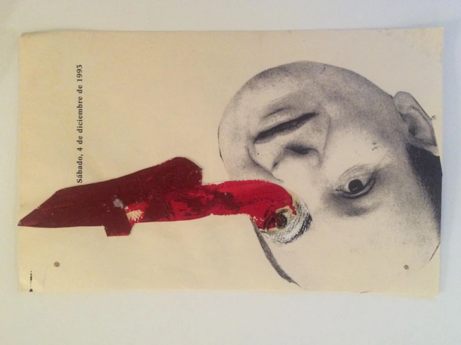 Intersecciones – Mixed media collage by Rosana Auqué combining photography and paint to explore identity and distortion.